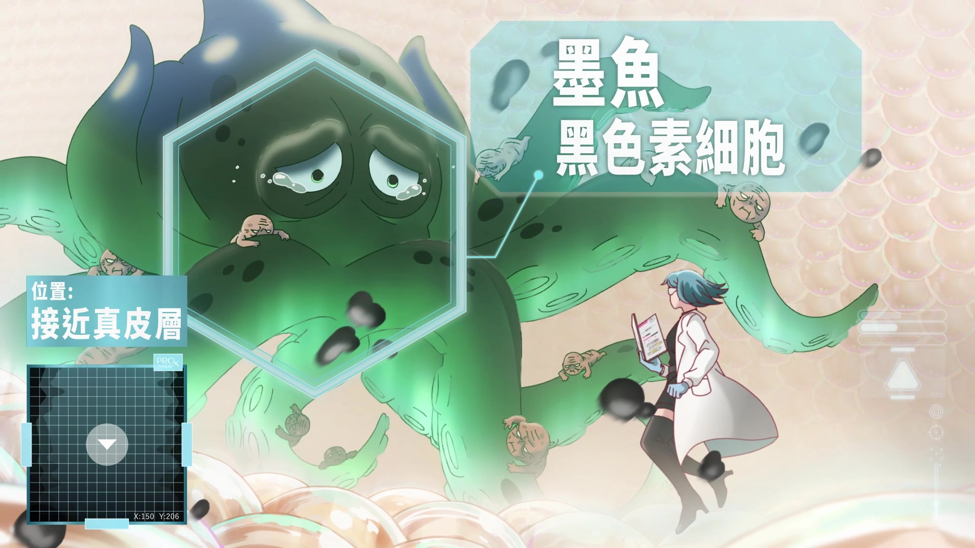 製造黑色素的「墨魚」